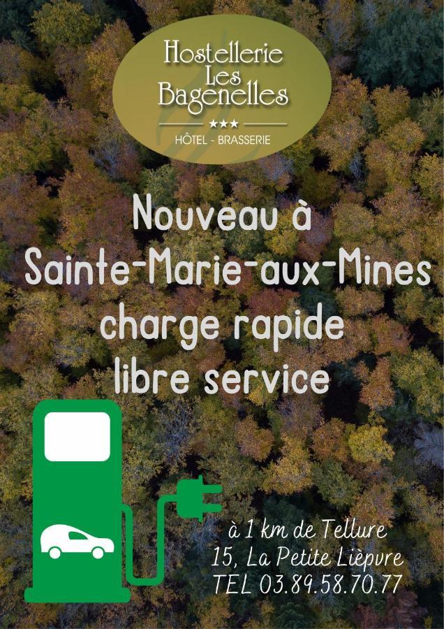 Hostellerie Les Bagenelles Sainte-Marie-aux-Mines Eksteriør bilde