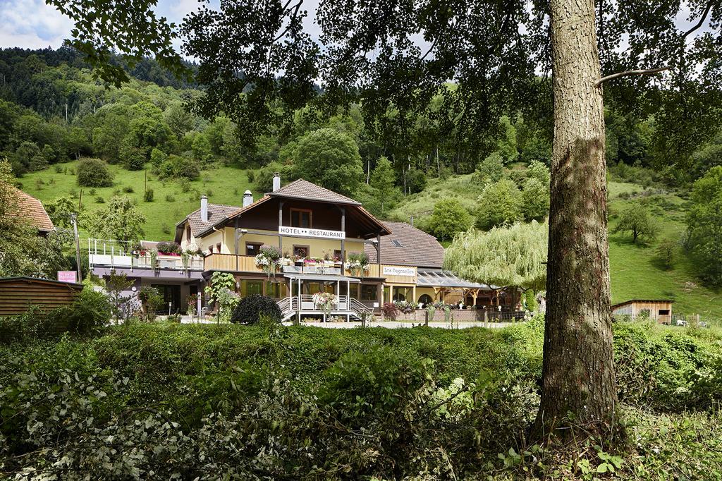 Hostellerie Les Bagenelles Sainte-Marie-aux-Mines Eksteriør bilde